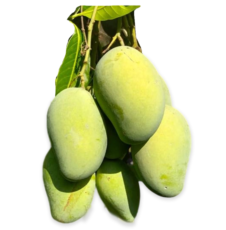 আমরুপালী 